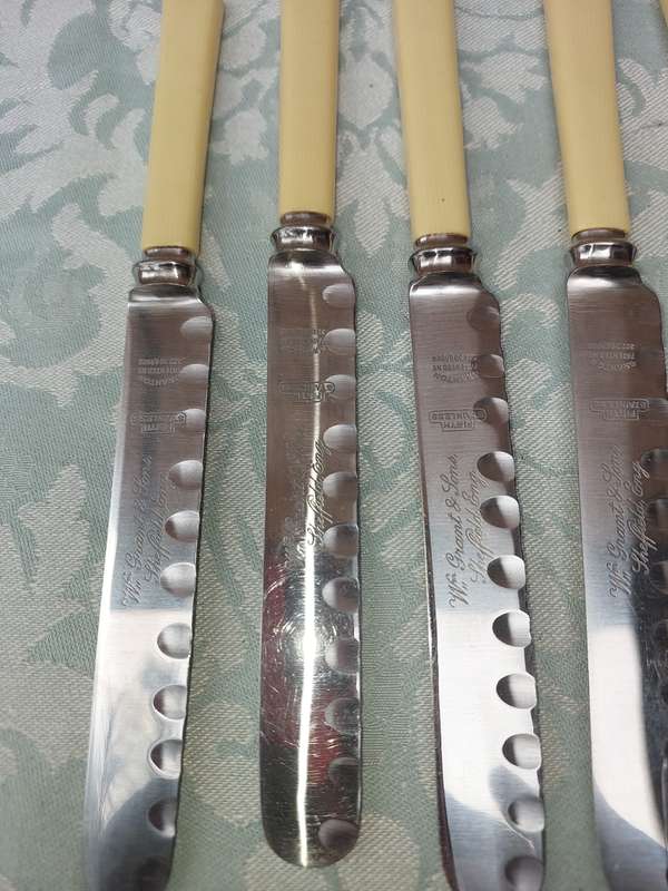A SET OF FIVE VINTAGE BONE HANDLED STEAK KNIVES