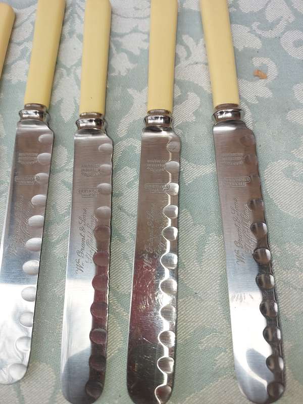 A SET OF FIVE VINTAGE BONE HANDLED STEAK KNIVES