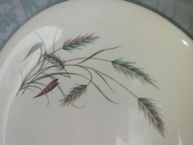 Alfred Meakin 1950s Dining Plate