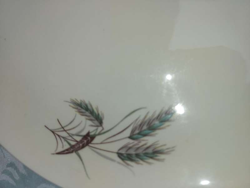 Alfred Meakin 1950s Dining Plate