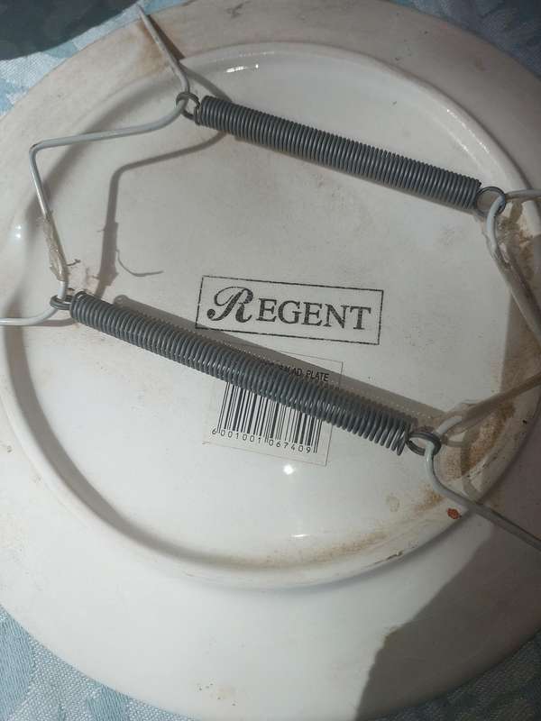 A COLLECTION OF 3 FLORENTINE SALAD PLATE PLAQUES SOLD AS IS