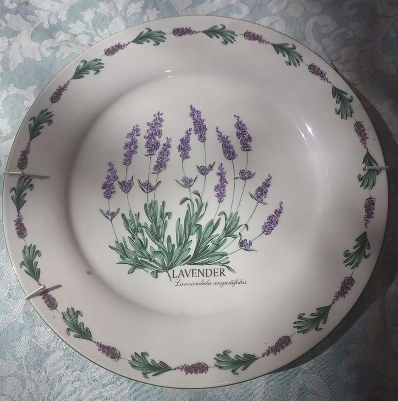 A VINTAGE WIESENTHAL GERMANY PORCELAIN PLATE PLAQUE SOLD AS IS