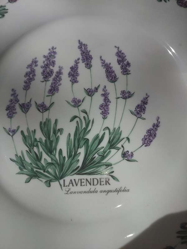 A VINTAGE WIESENTHAL GERMANY PORCELAIN PLATE PLAQUE SOLD AS IS