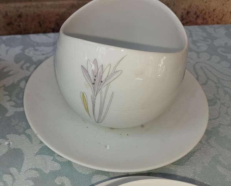 A VINTAGE 57-PIECE JOHANN HAVILAND BAVARIA PORCELAIN SET