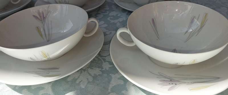 A VINTAGE 57-PIECE JOHANN HAVILAND BAVARIA PORCELAIN SET