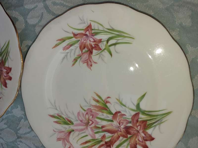 A VINTAGE COLLECTION OF 7 ROYAL ALBERT BONE CHINA ENGLAND FRIENDSHIP SERIES 12 GLADIOLUS PLATES AND