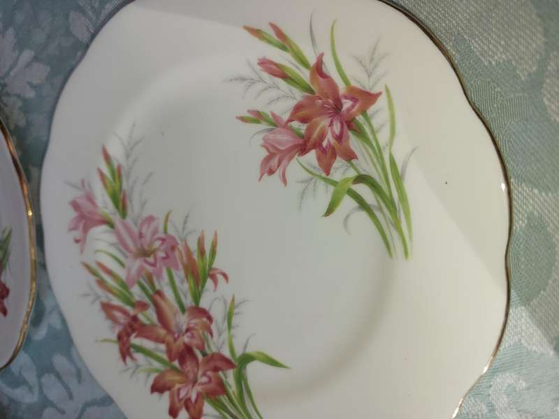 A VINTAGE COLLECTION OF 7 ROYAL ALBERT BONE CHINA ENGLAND FRIENDSHIP SERIES 12 GLADIOLUS PLATES AND