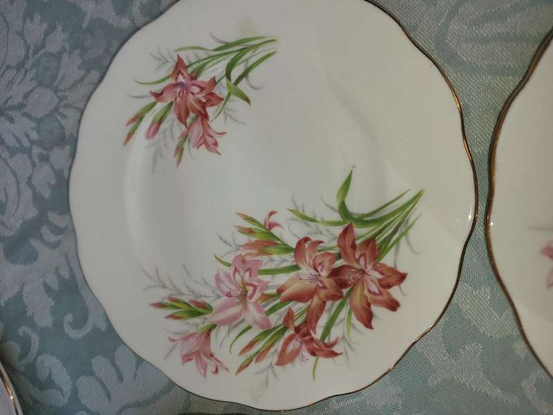 A VINTAGE COLLECTION OF 7 ROYAL ALBERT BONE CHINA ENGLAND FRIENDSHIP SERIES 12 GLADIOLUS PLATES AND