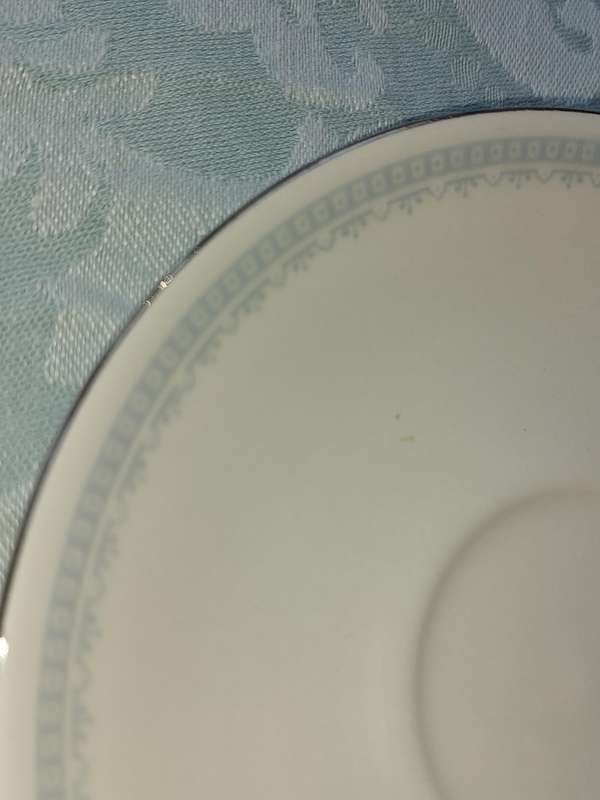 A COLLECTION OF 10 CONTINENTAL SAUCERS WHITE WITH SILVER TRIM AND LIGHT BLUE ART WORK SOLD AS IS