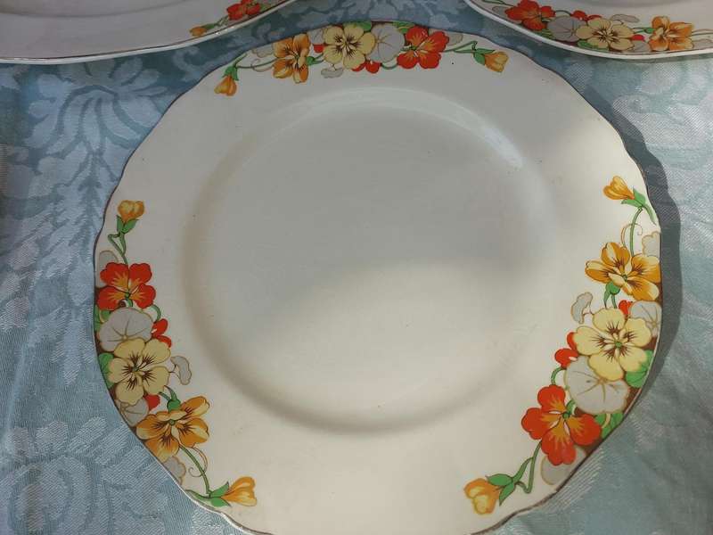 A VINTAGE COLLECTION OF 5 ALFRED MEAKIN PLATES AND A PLATTER SOLD AS IS