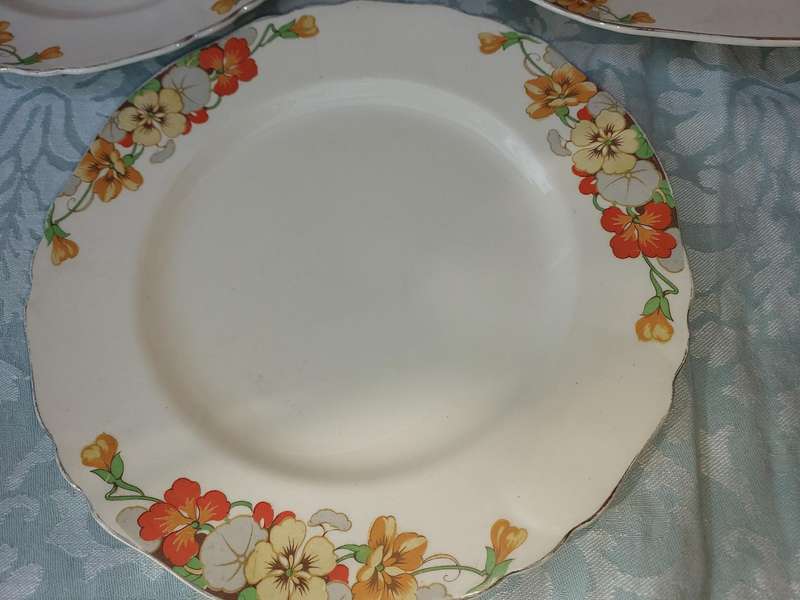 A VINTAGE COLLECTION OF 5 ALFRED MEAKIN PLATES AND A PLATTER SOLD AS IS