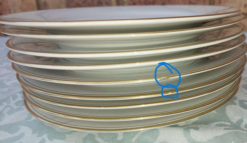 A SET OF 10 RC NORITAKI SRI LANKA DINNER PLATES ONE HAS A CHIP AS PER THE PHOTOS SOLD AS IS