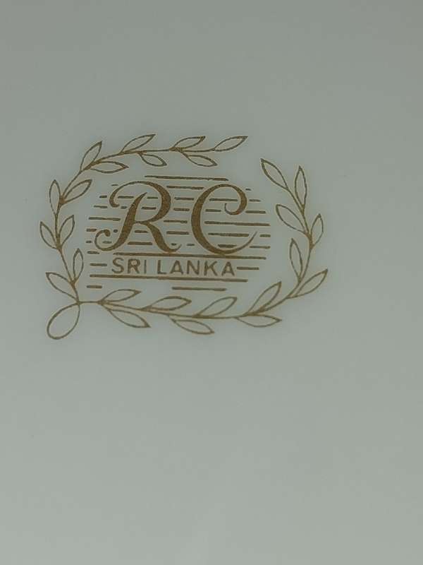 A SET OF 10 RC NORITAKI SRI LANKA DINNER PLATES ONE HAS A CHIP AS PER THE PHOTOS SOLD AS IS