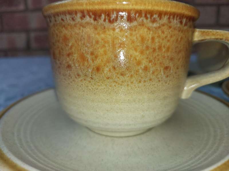 Vintage Mikasa Japan Natures Song C1050 Tea Cups & Saucer Frothy Beige Glaze