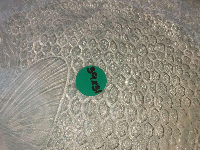 A JOBLOT COLLECTION GLASS SERVING PLATTERS SOLD AS IS