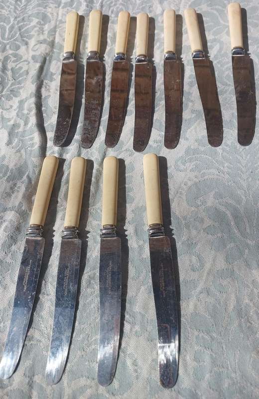 A COLLECTION OF 8 WARRENTED MADE IN SHEFFIELD STAILESS STEEL STEAK KNIVES BONE HANDLED SOLD AS IS