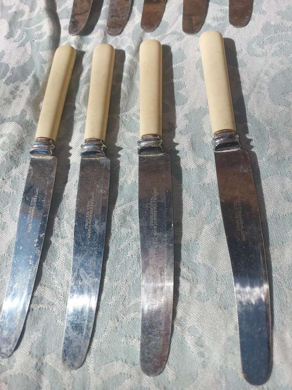 A COLLECTION OF 8 WARRENTED MADE IN SHEFFIELD STAILESS STEEL STEAK KNIVES BONE HANDLED SOLD AS IS