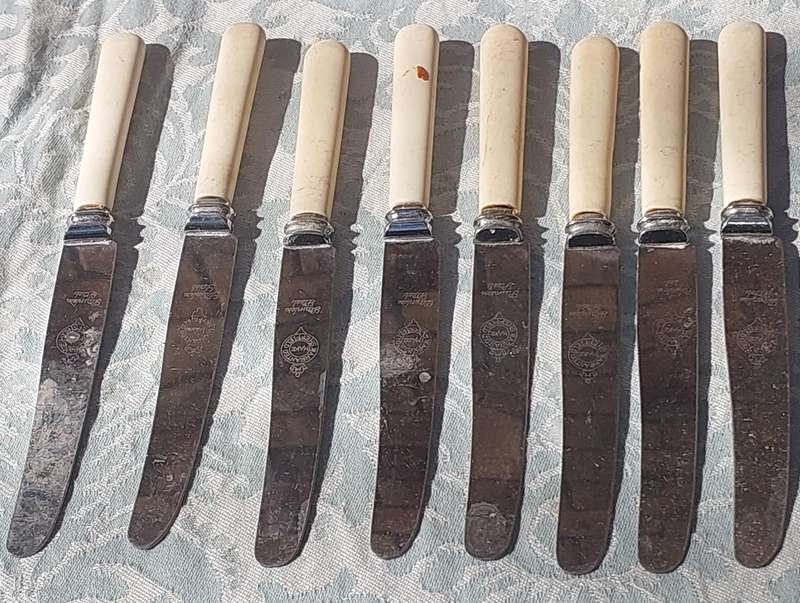 A COLLECTION OF 8 WARRENTED MADE IN SHEFFIELD STAILESS STEEL STEAK KNIVES BONE HANDLED SOLD AS IS