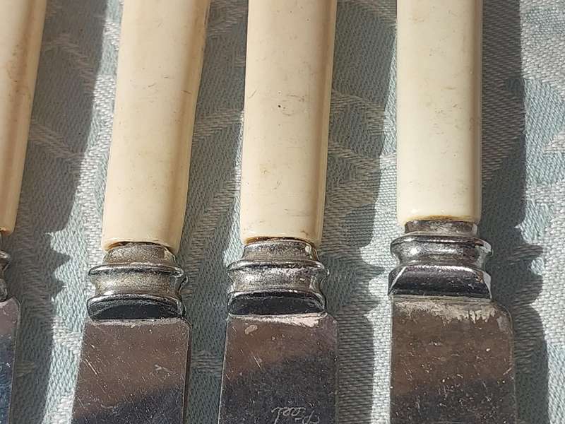 A COLLECTION OF 8 WARRENTED MADE IN SHEFFIELD STAILESS STEEL STEAK KNIVES BONE HANDLED SOLD AS IS