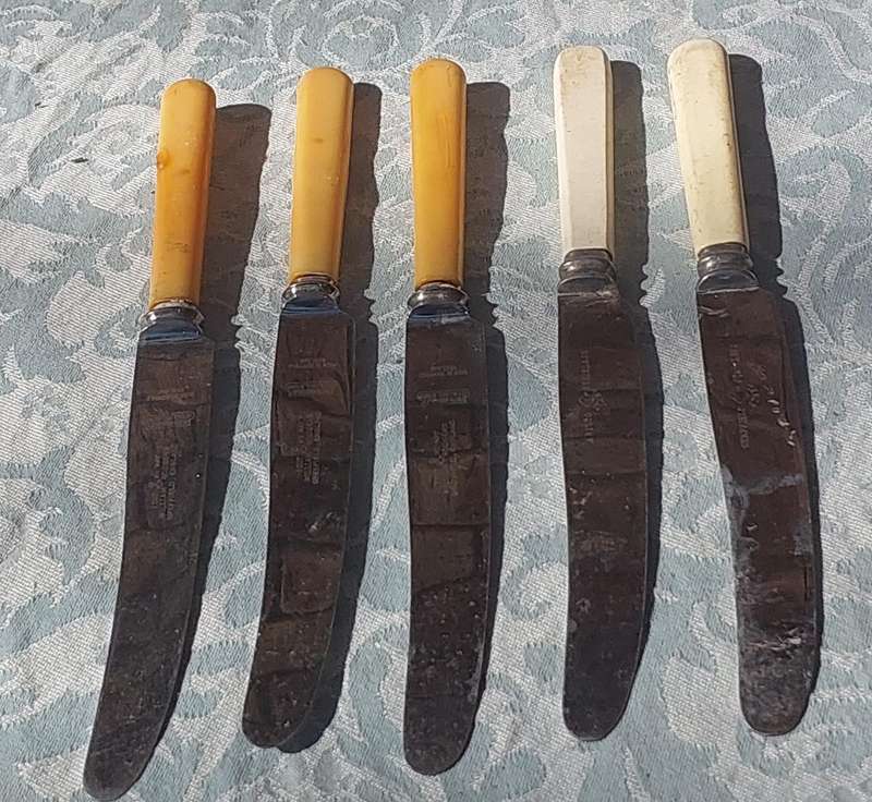 A COLLECTION OF FIVE STAINLESS STEEL BONE HANDLED KNIVES SOLD AS IS