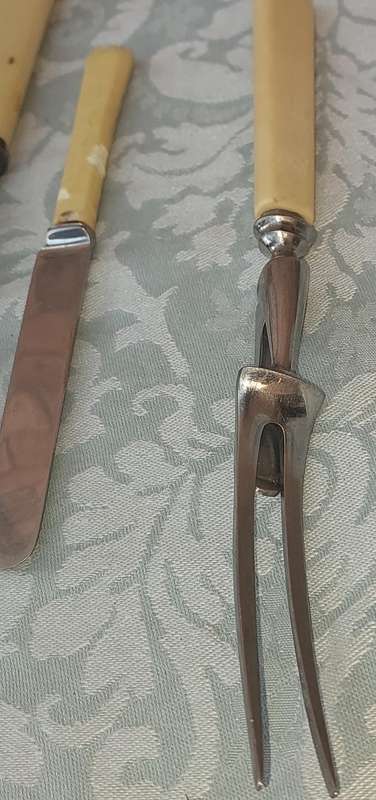 A COLLECTION OF VINTAGE AND ANTIQUE BONE HANDLED CUTLERY