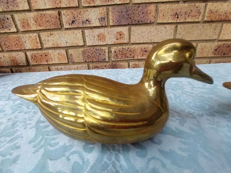 TWO SOLID BRASS DUCKS  SOLD AS IS