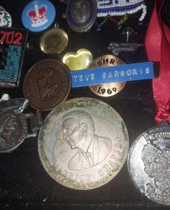 AN ENTIRE COLLECTION OF BADGES SOLD AS IS