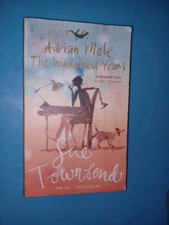 Spud  J van de Ruit & Adrian Mole The Wilderness Years &True Confessions of Adrian  Mole S Townsend