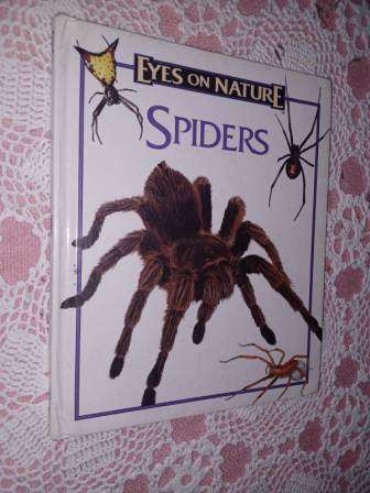 Eyes on Nature  Spiders