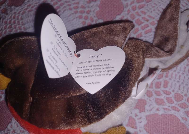 Robin,Beanie Baby