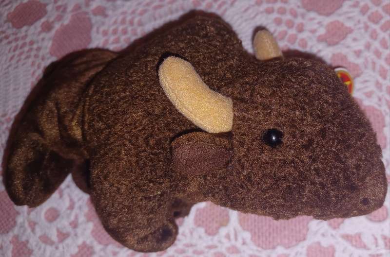 Bison ,Beanie Baby