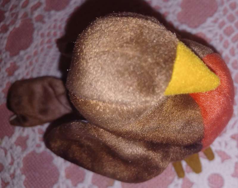 Robin,Beanie Baby