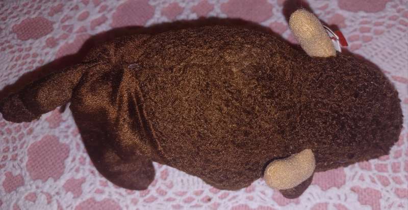 Bison ,Beanie Baby