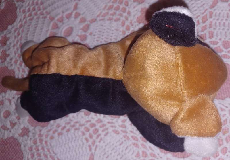 Kitten Beanie Baby