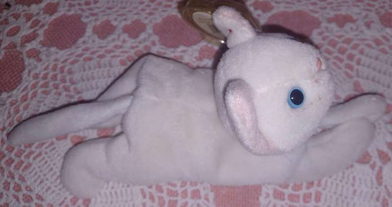 Kitten Beanie baby