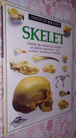 Skelet Ooggetuie Gidse