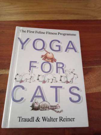 Yoga For Cats  Traudl & Walter Reiner