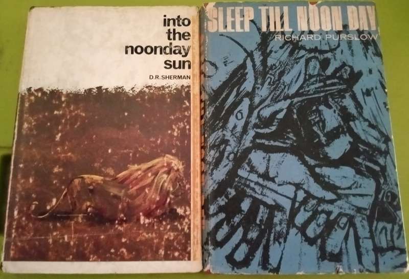 Into the Noonday Sun  DR Sherman & Sleep Till Noon day R Purslow