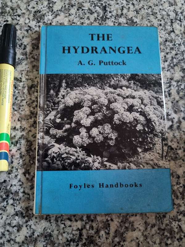 THE HYDRANGEA A G PUTTOCK FOYLES Handbooks ( botany flowering plants gardening  )