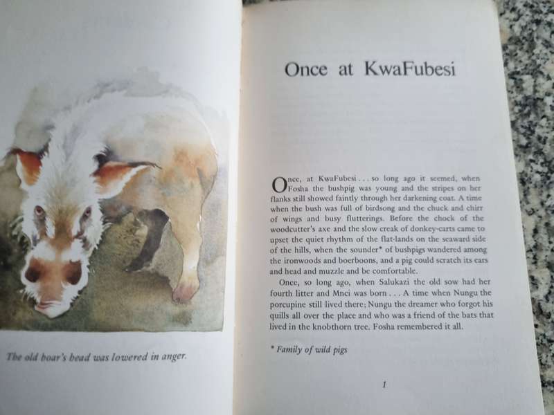 ONCE AT KWAFUBESI MARGUERITE POLAND LEIGH VOIGT