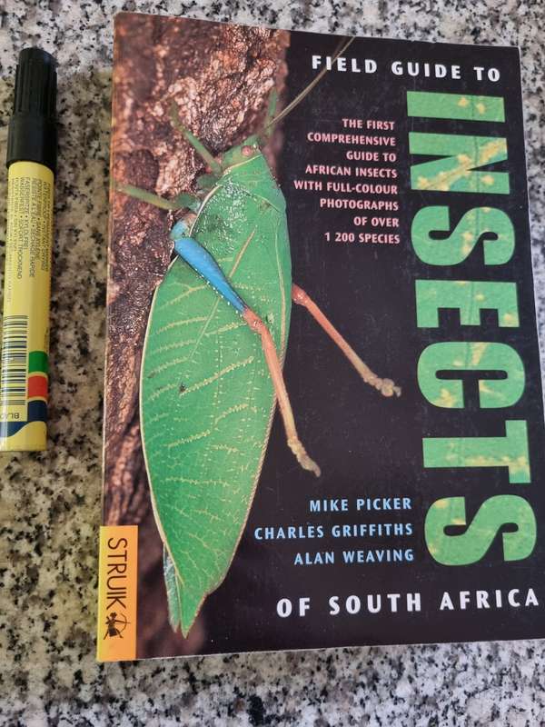 FIELD GUIDE TO INSECTS OF SOUTH AFRICA  MIKE PICKER CHARLES GRIFFITHS ALAN WEAVING entomology