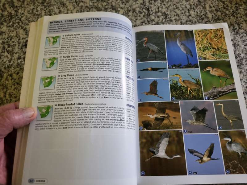 Photographic Field Guide Birds of Southern Africa by Sinclair and Ryan Sasol