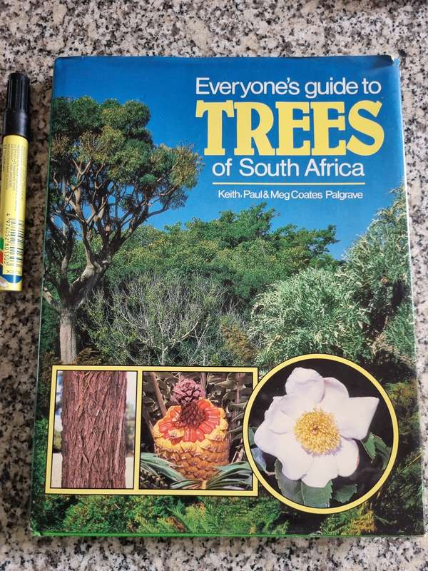 EVERYONES GUIDE TO TREES OF SOUTH AFRICA KEITH PAUL & MEG PALGRAVE incl Cycads & also Medicinal uses