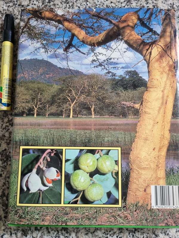 EVERYONES GUIDE TO TREES OF SOUTH AFRICA KEITH PAUL & MEG PALGRAVE incl Cycads & also Medicinal uses