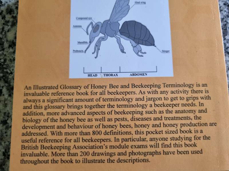 AN ILLUSTRATED GLOSSARY of HONEY BEE & BEEKEEPING TERMINOLOGY SUE REMENYI   bees