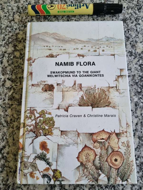 NAMIB FLORA Swakopmund to the Giant Welwitschia via GOANIKONTES P CRAVEN  Namibia botany plants
