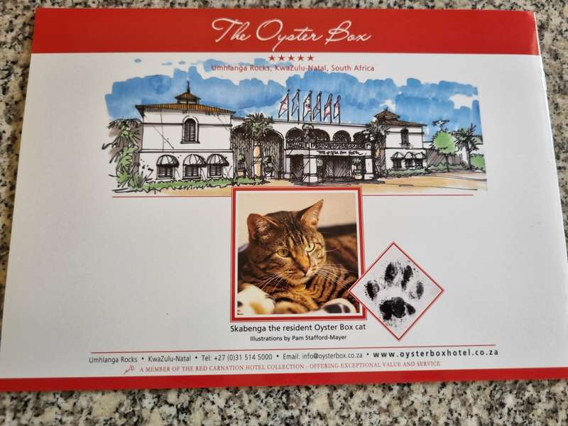 SKABENGA The Resident Cat WAYNE COETZER  the resident OYSTER BOX HOTEL CAT