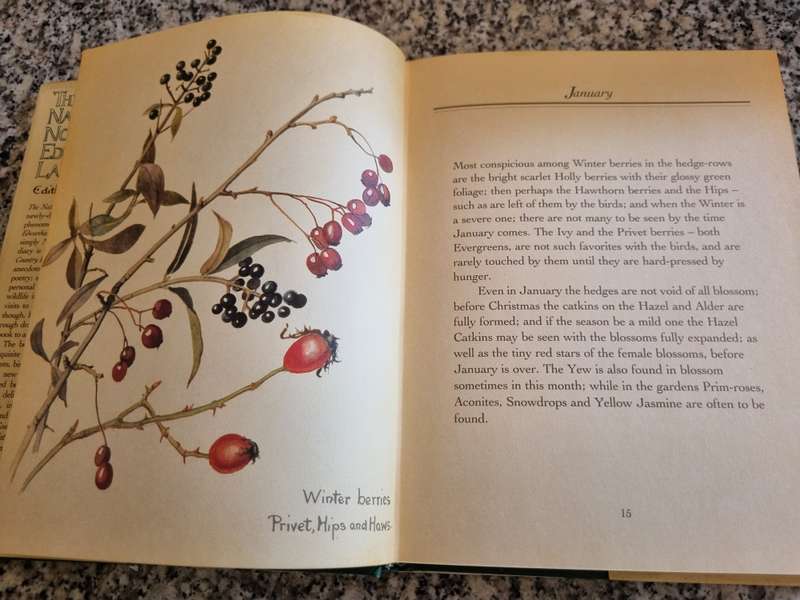 NATURE NOTES of THE COUNTRY DIARY OF AN EDWARDIAN LADY EDITH HOLDEN note condition