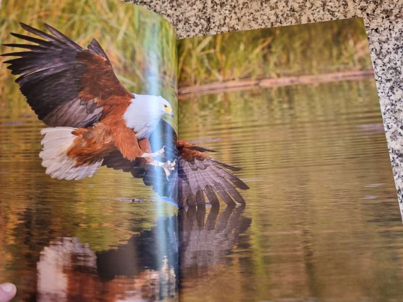 BIRDS OF THE OKAVANGO ALBERT and MARIETJIE FRONEMAN A CELEBRATION OF RICH BIRDLIFE