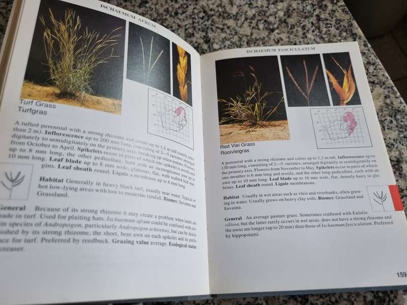 A GUIDE TO GRASSES of SOUTH AFRICA FRITS van OUDTSHOON  Signed  ( includes veld management & erosion